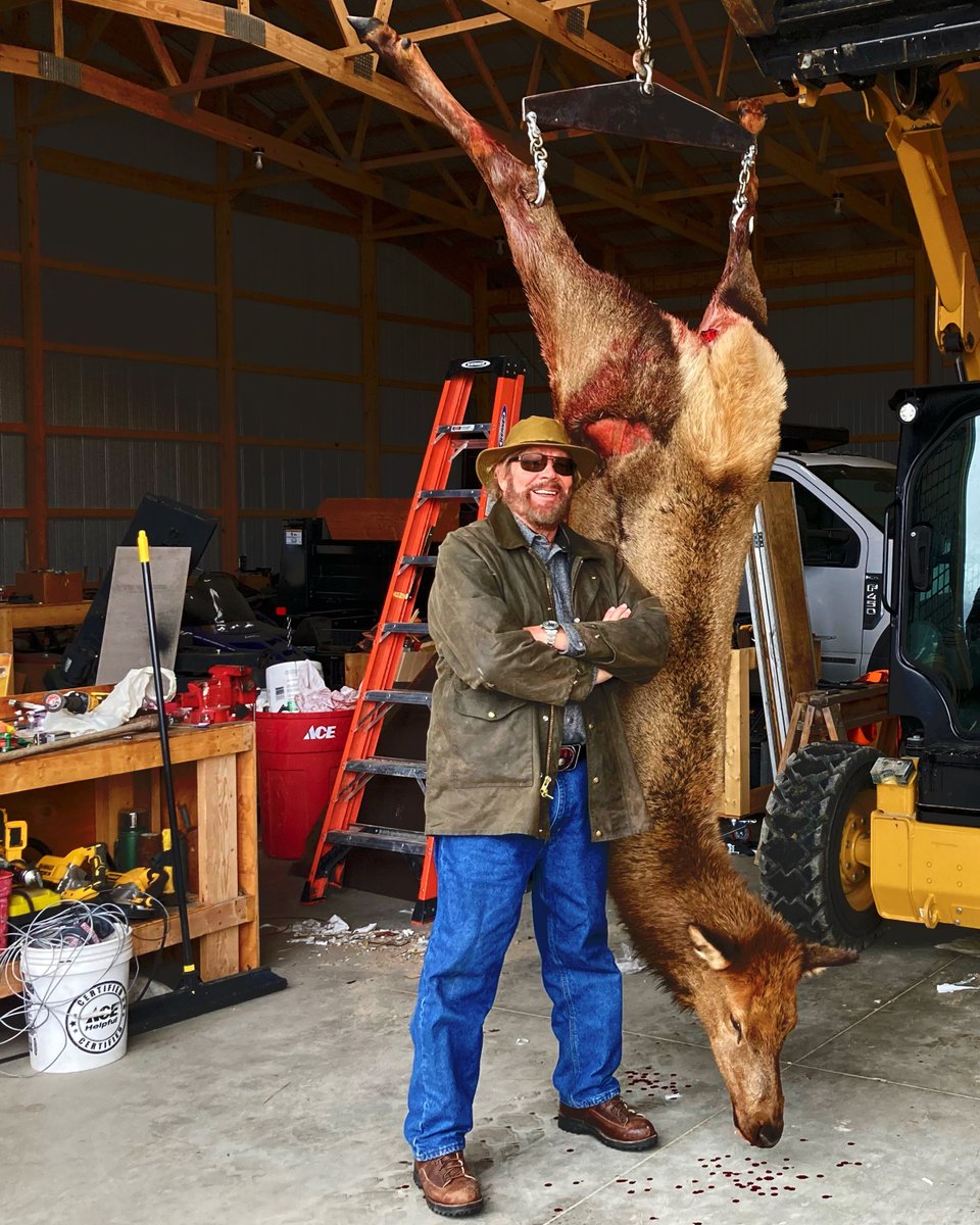 HankJr's tweet photo. "A Country Boy Can Survive." Got this one from 300 Yards! A cow elk is the BEST for eating. Elk chili on a cold day anyone? https://t.co/XyJiXwP0op