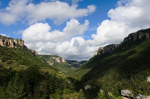 PnCevennes's tweet photo. 🏃‍♂️🏃‍♀️ Comment nous avons travaillé avec le Zinzin Ultra-Trail® pour en faire une épreuve attractive et respectueuse de l’environnement ? 🍃 🦅🌻 

🌄 On vous dit tout ici
👉 https://t.co/eArEj1RvzZ https://t.co/lv4SSJIxTi