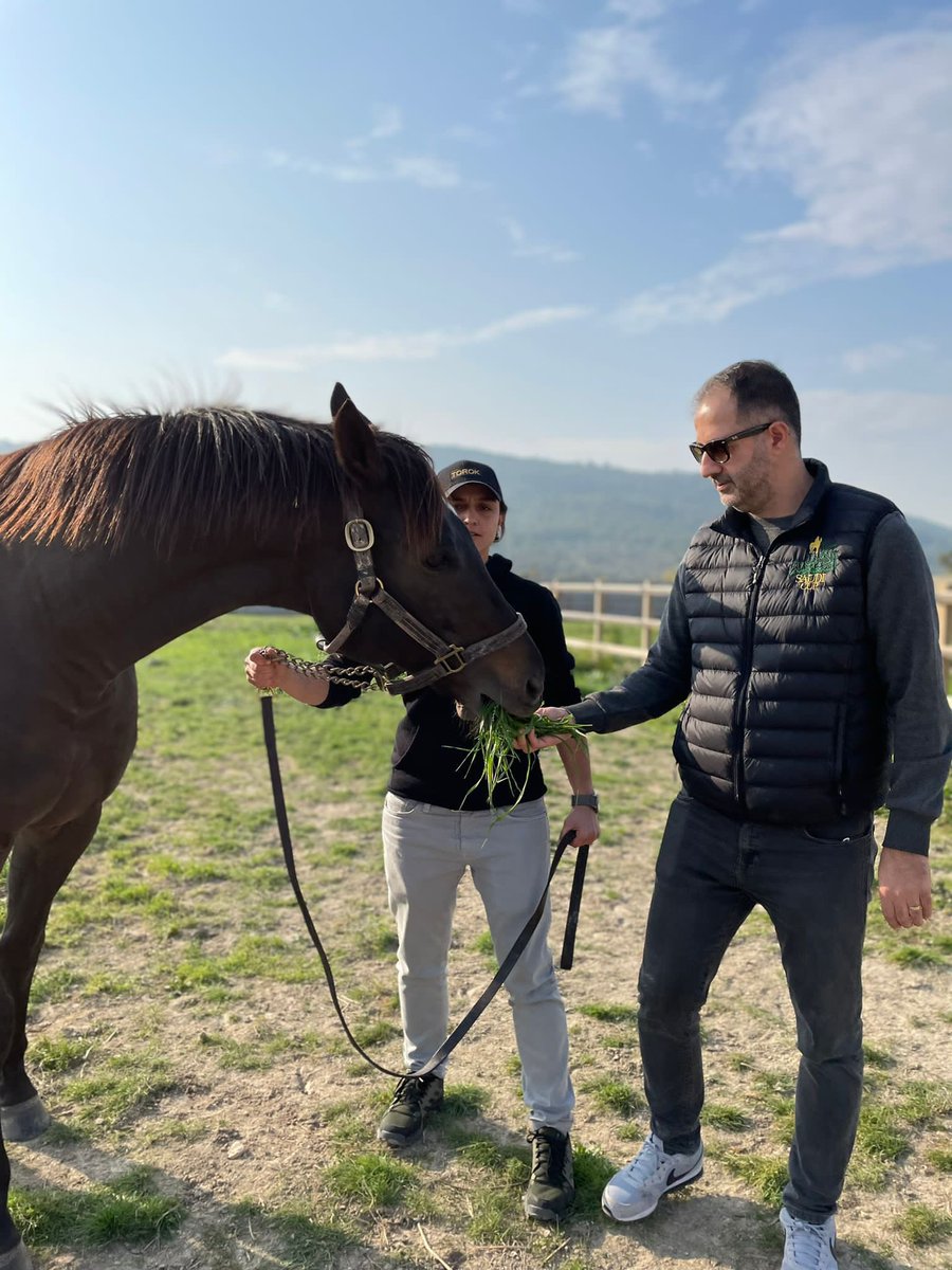 Ellerimle besliyorum #torok