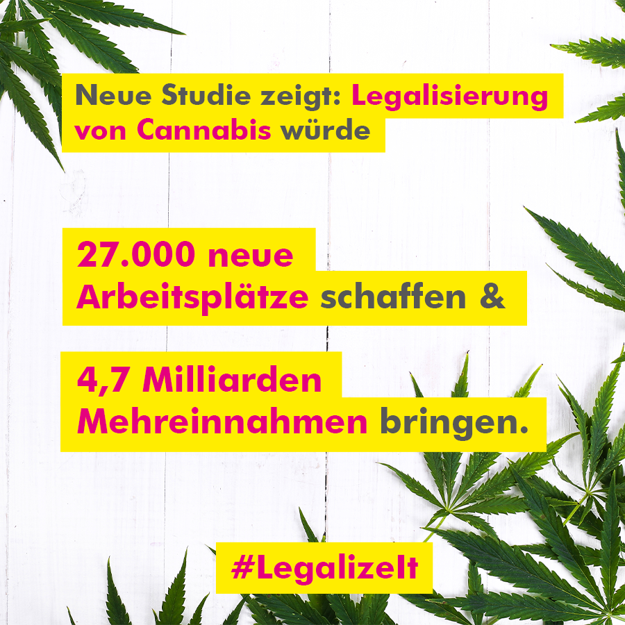 Bisher sichert die Drogenpolitik vor allem die Jobs der Dealer und Kartelle. Eine aktuelle Studie des deutschen Hanfverbands zeigt jetzt aber: Es könnte auch der Steuerzahler in Form von Steuereinnahmen und legalen Arbeitsplätzen profitieren. #LegalizeIt