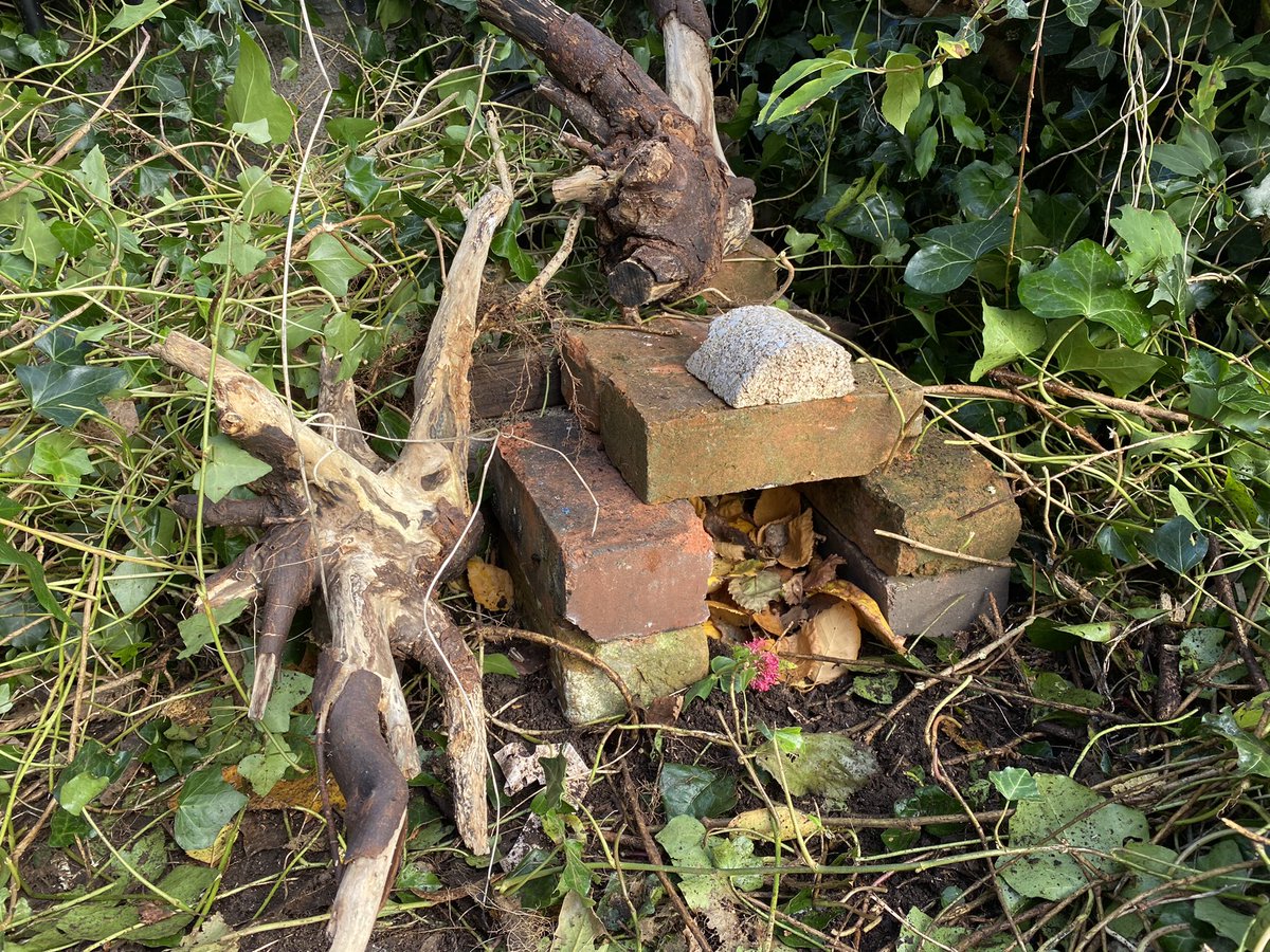 DrLucyAlford's tweet photo. Some fantastic #hedgehog houses made in the @BristolBioSci allotment today during #CafeBio! What a productive coffee break! https://t.co/11hwNo5ZND