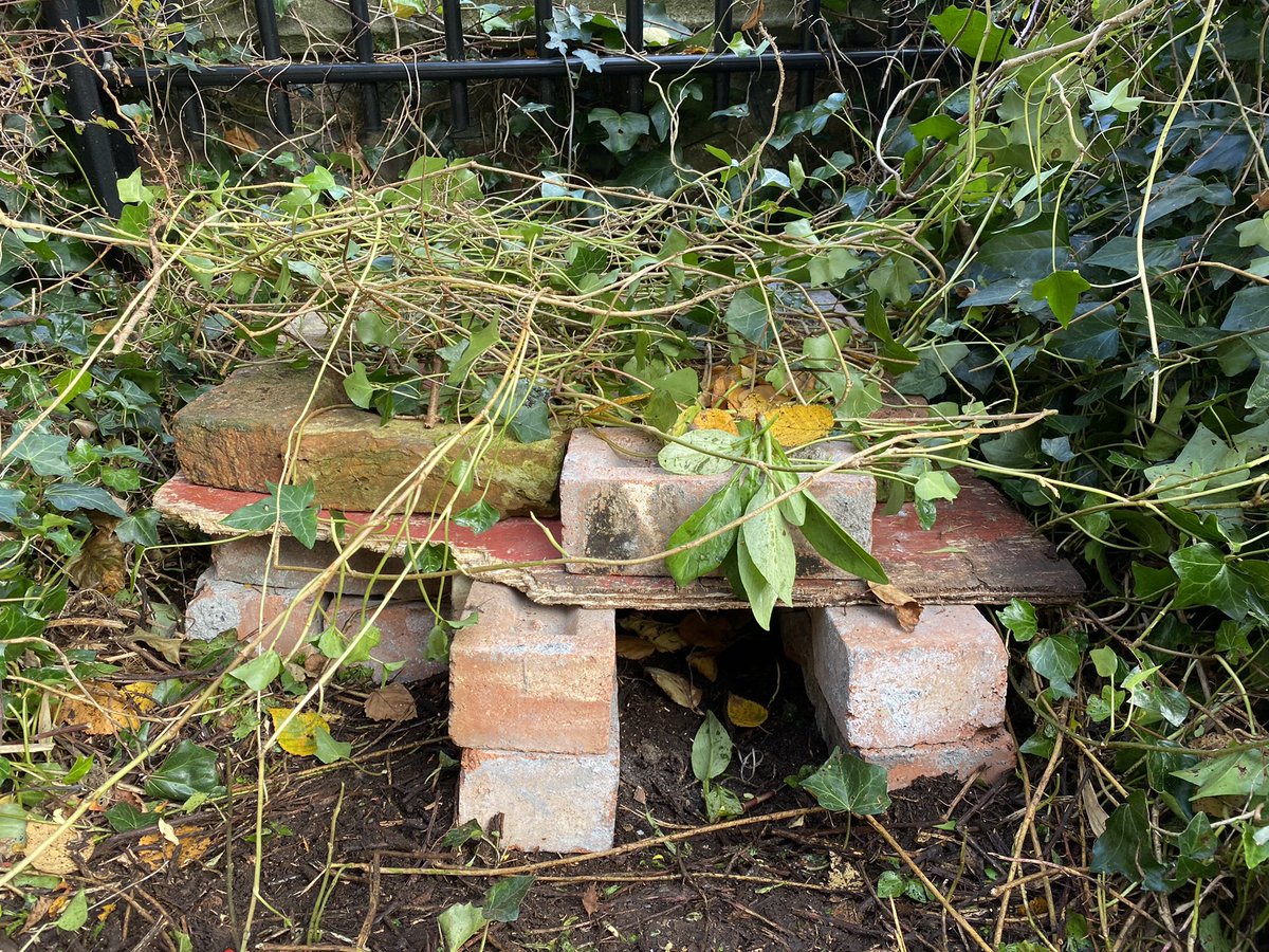DrLucyAlford's tweet photo. Some fantastic #hedgehog houses made in the @BristolBioSci allotment today during #CafeBio! What a productive coffee break! https://t.co/11hwNo5ZND