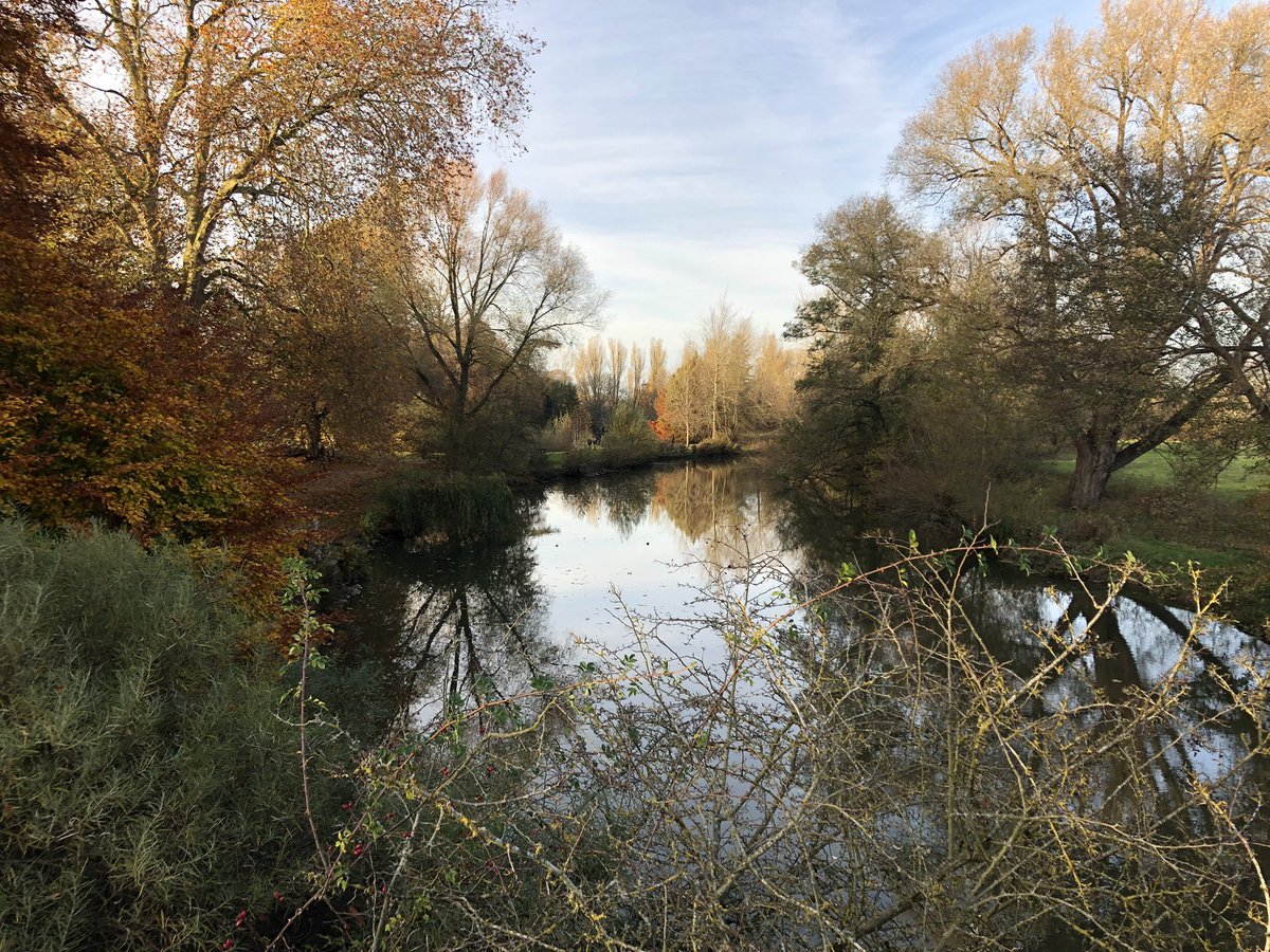 OxExecCoaching's tweet photo. Taking a break from online meetings and working from home can positively impact our mental health. We’re very lucky in Oxford to have outside spaces as wonderful as University Parks #autumnreflection https://t.co/w5XTjx4u23