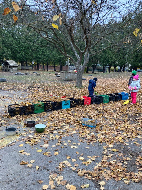TDSB_ForestHill's tweet photo. In Room 106s we are learning how to make a repeat pattern with crates and leaves. Riding the pattern train! Now the hard work becomes imaginative play #problemsolving
#outdoorlearning #collaboration #numeracyinaction @tdsb @RonFelsen @shelleylaskin https://t.co/ByX9RYkMKx