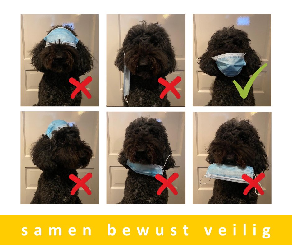 😷| 𝐒𝐚𝐦𝐞𝐧 𝐛𝐞𝐰𝐮𝐬𝐭 𝐯𝐞𝐢𝐥𝐢𝐠 𝐦𝐞𝐭 𝐏𝐢𝐩!
Veilig én verantwoord trainen, daar staan we voor. Zo ook onze kantoorheldin Pip!😷

Check hier ons COVID-19 protocol: 

▶️achterkamp.nl/aangepast-bele… 

#BHV #EHBO #VCA #samenbewustveilig