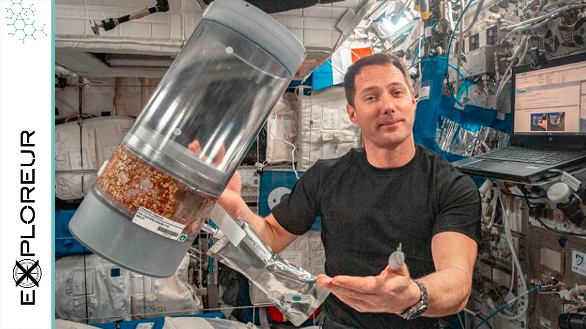 Univ_Toulouse's tweet photo. đ Dans la @Space_Station, @Thom_astro a menĂ© deux expĂ©riences scientifiques, #TetrISS (@MpSpace) et #Eklo, portĂ©es par plus de 250 Ă©tudiants d'@UT3PaulSabatier & @lecolededesign, laurĂ©ats du concours #GenerationISS.
đ DĂ©couvrez-les sur #Exploreur âĄïž https://t.co/TLH96vbpWc https://t.co/CJNvR7Mx2f