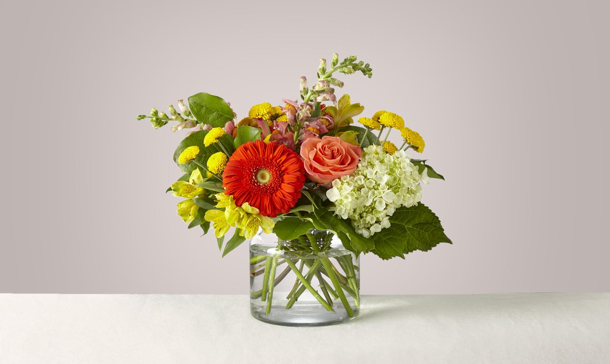USAA's tweet photo. Near or far, give joy to your loved ones this holiday season with @ftdflowers. Save 25% on bouquets, plants and more at https://t.co/F8sqcxhXsv. #PerksOfMembership #HolidayPerks https://t.co/IMQCeSNU7j