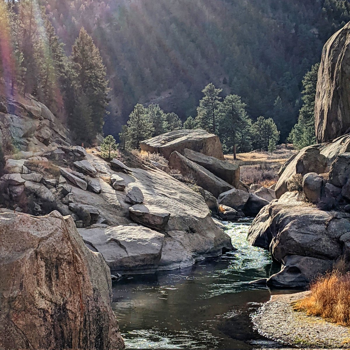 terrietpeterson's tweet photo. From a bike ride along the South Platte River near Deckers, CO a few days ago. π₯°
#cycling #groads #Colorado @DenverWater https://t.co/CuYWgsMLDB