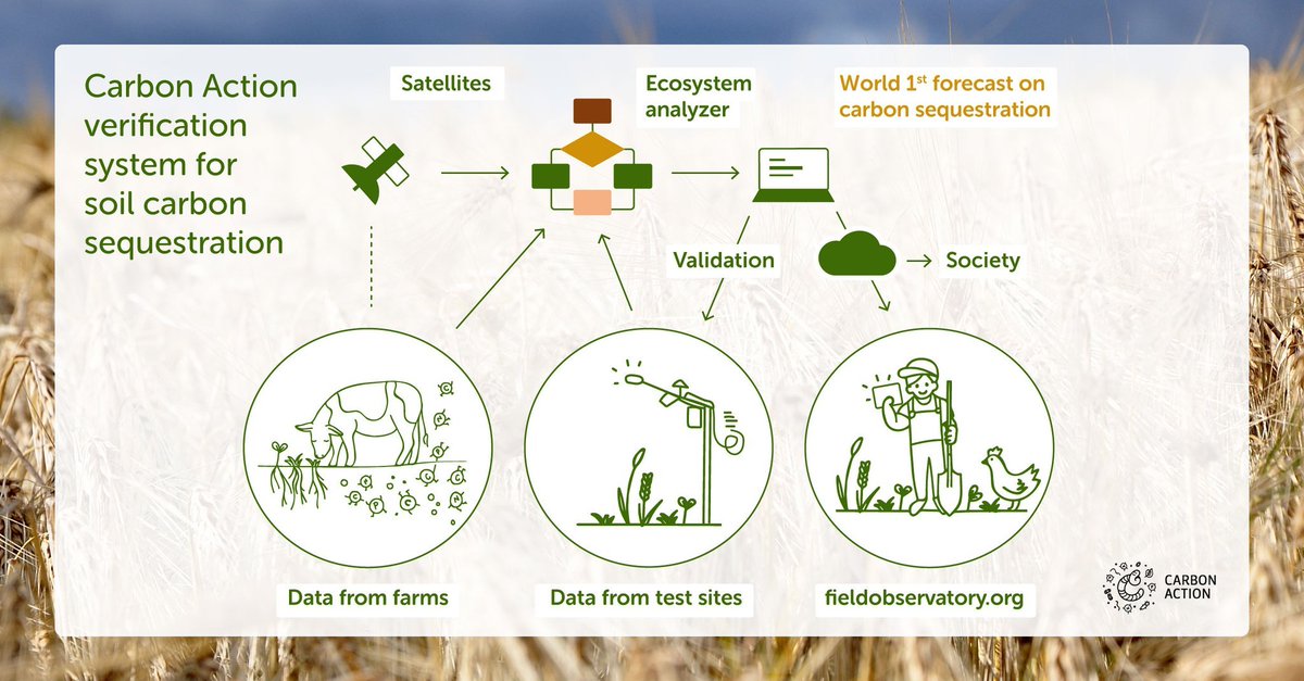 JariLiski's tweet photo. Still time to apply - but only until NOON TOMORROW 18 NOV. Open researcher position in our @IlmaTiede group developing verification system for land ecosystems' carbon sequestration. https://t.co/rzS6rqSiJw https://t.co/RudtttlzKE
