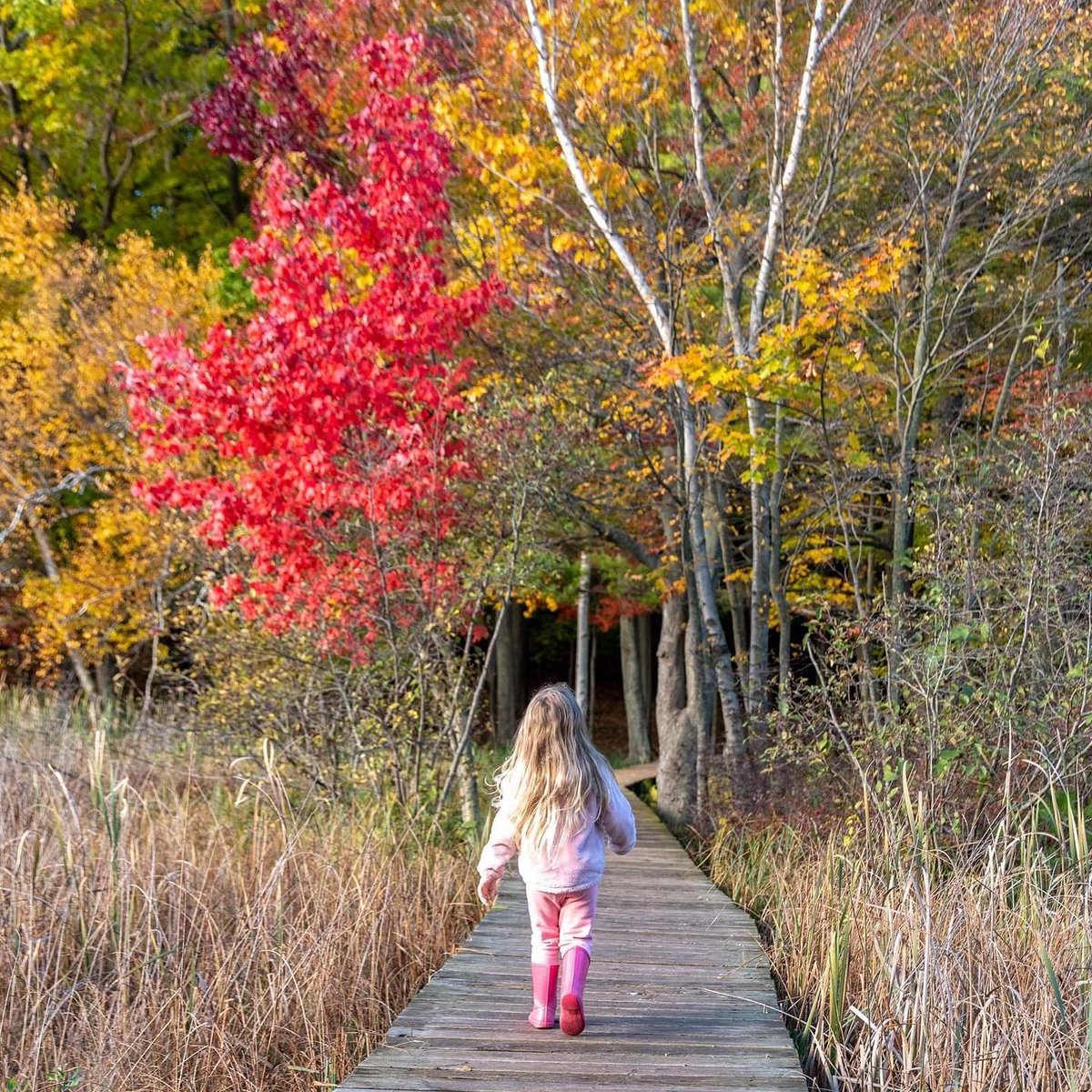 Pure_Ludington's tweet photo. Lace up and head out for #NationalTakeAHikeDay in #PureLudington! To find trails, go to https://t.co/kVTr2RSFZN.
#LoveLudington #fallrecreation
📷: @celanopics https://t.co/xqEmW15I0T