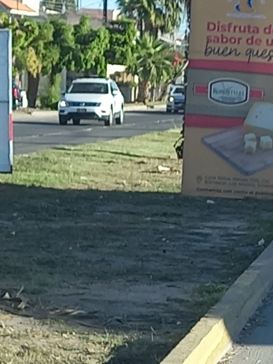 mauricioduartem's tweet photo. Empresas "serias" en Los Mochis incluidas universidades, no hagan publicidad chafa en camellón es y equipamiento urbano ( es de todos, no de ustedes) Aparte de ir contra los reglamentos municipales hacen que la ciudad se vea fea. @A_ausdenRuthen https://t.co/vqnUzS06rz