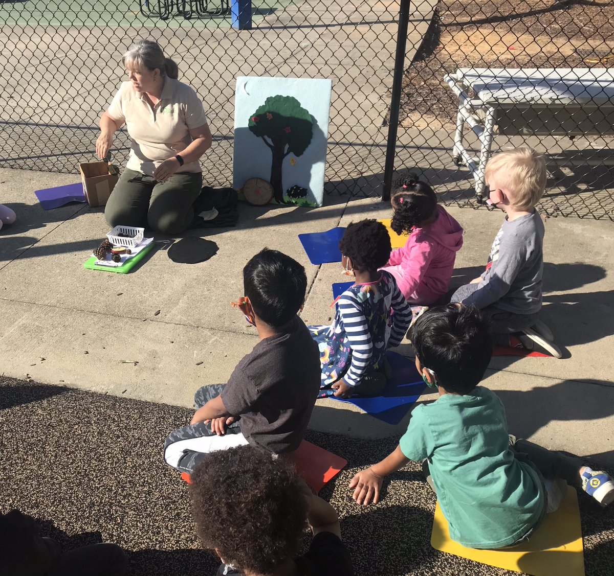 TracySlavis's tweet photo. Learning all about trees with our special visitor from Raleigh parks and recreation @TurnerCreekES https://t.co/3y8efeUKoi