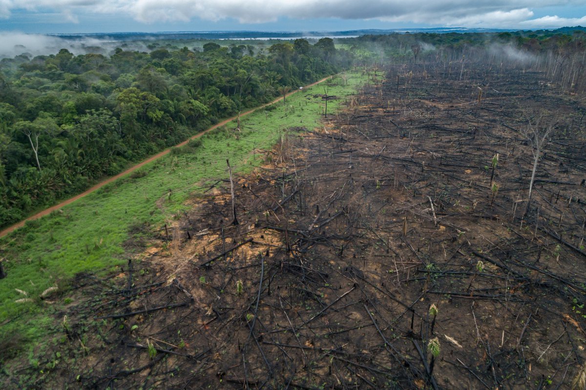 WWF_Portugal's tweet photo. ULTIMA HORA: A @EU_Commission apresentou a sua tão esperada proposta de lei sobre #desforestation .
É um bom começo, mas ainda subsistem algumas lacunas.
Veja aqui os detalhes e a nossa reação: https://t.co/IopoD2ul4v ...
# Together4Forests https://t.co/teYou3aRgr