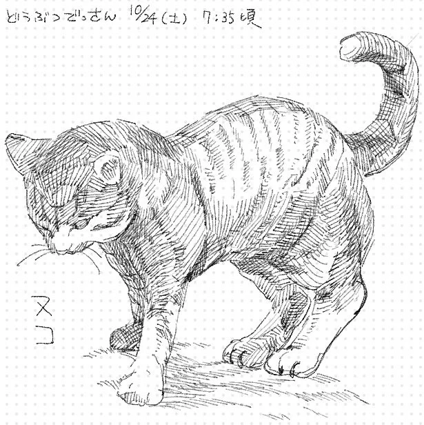 去年の今頃 