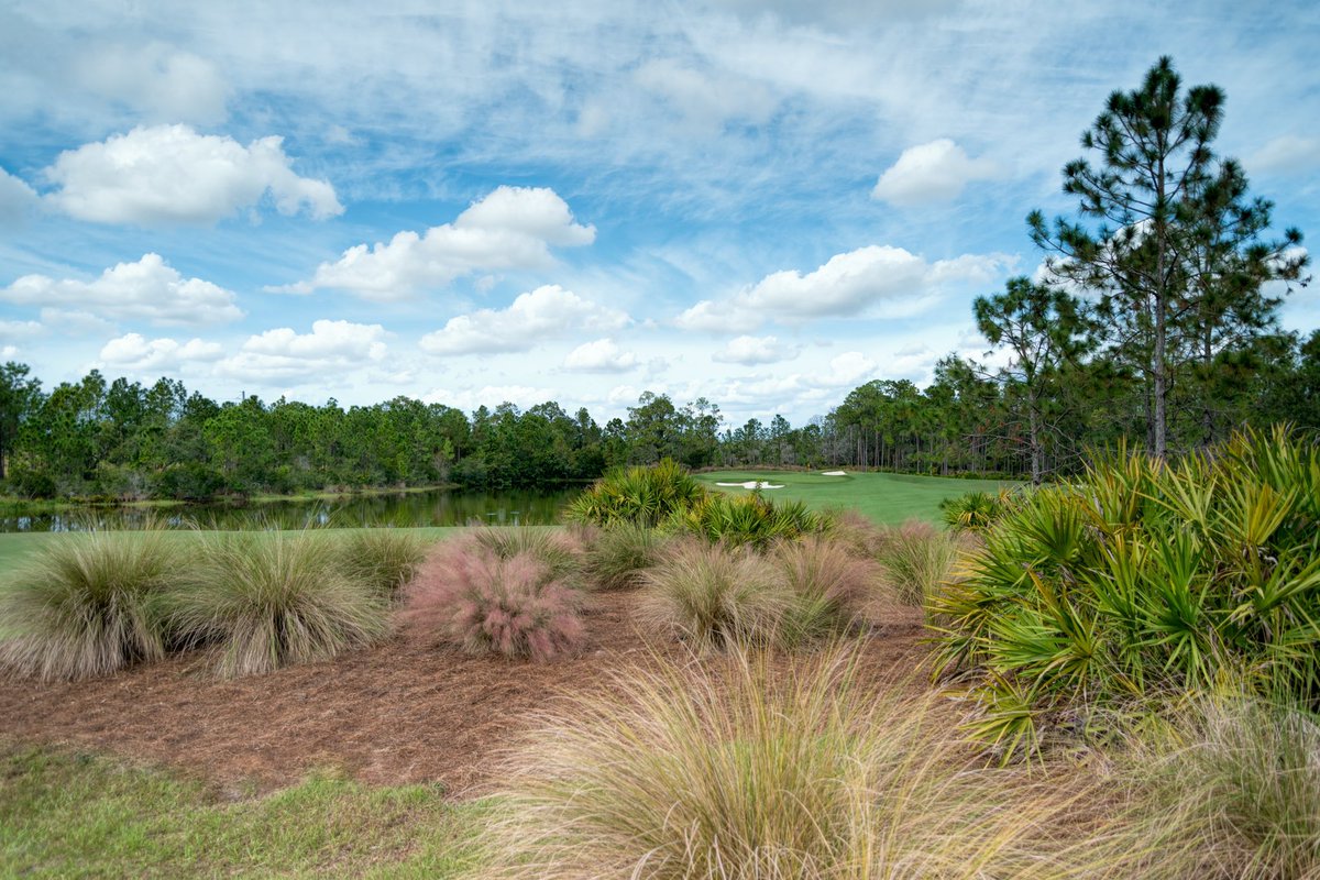 The Concession tweet media