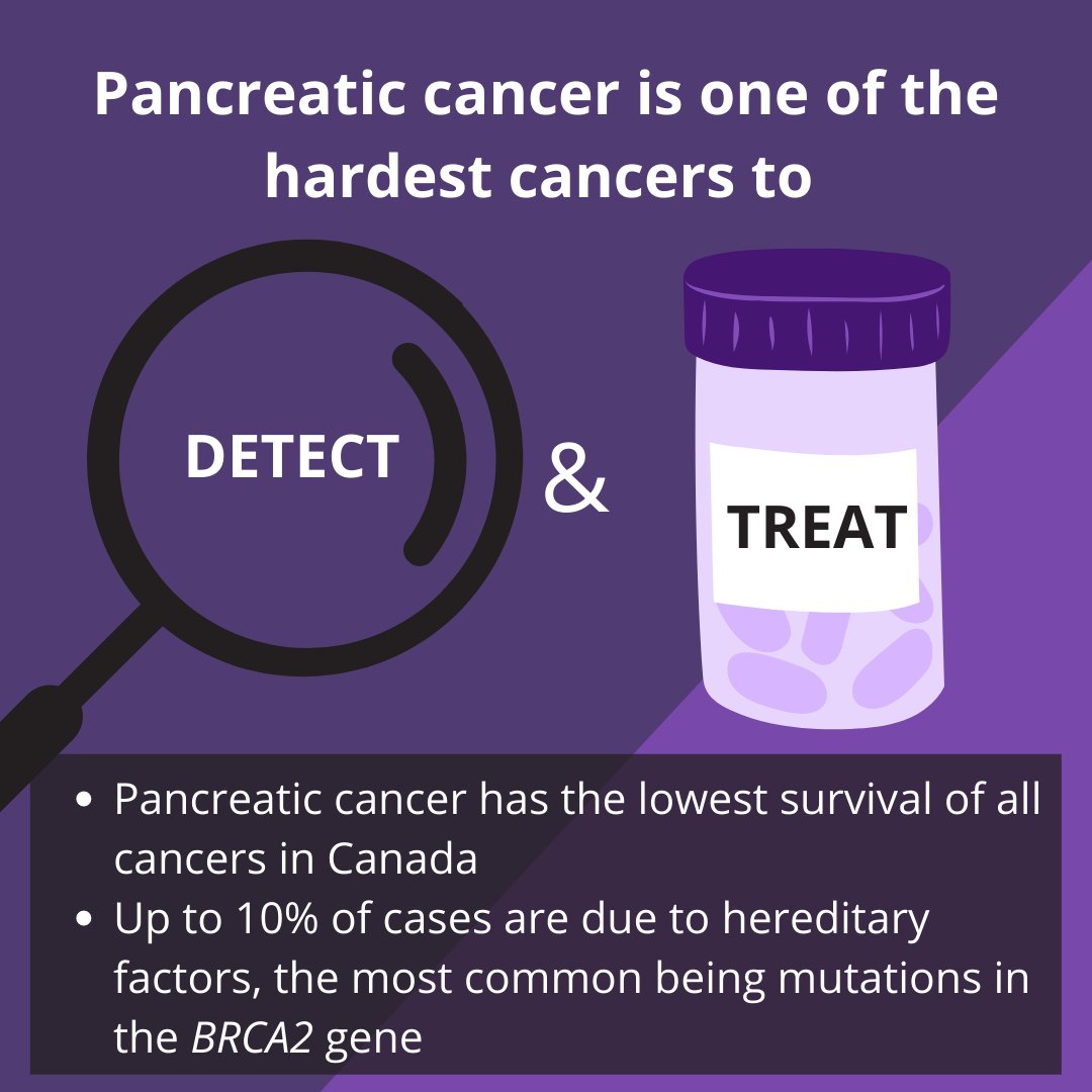 riotdesir's tweet photo. November is Pancreatic Cancer Awareness Month 💜 #PancreaticCancerAwarenessMonth  #CancerResearch  #CancerAwareness #SciComm https://t.co/Ah1xEmBPrN