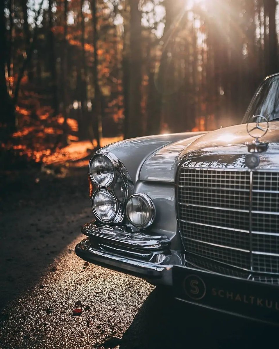 MercedesBenzUSA's tweet photo. We like our classics like we like our fall weather: cool and crisp. #MBClassic #W111 #280SE #mbugc https://t.co/9dbi0BwfJ4