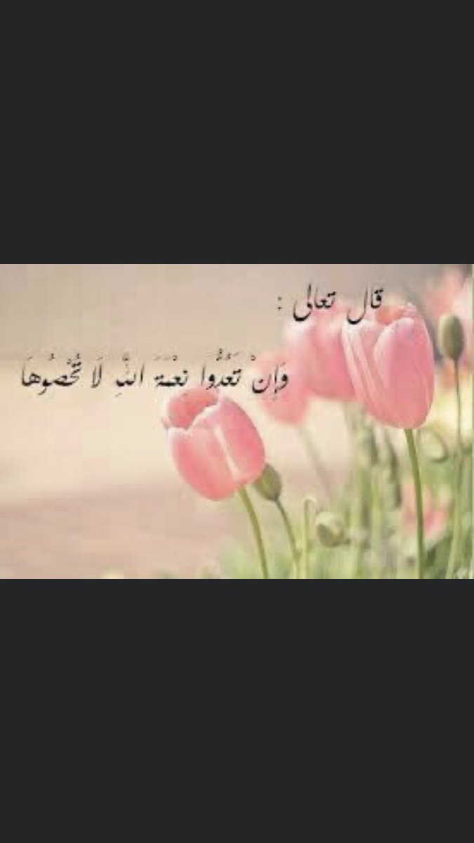 صالح محمد ال حمدان tweet media