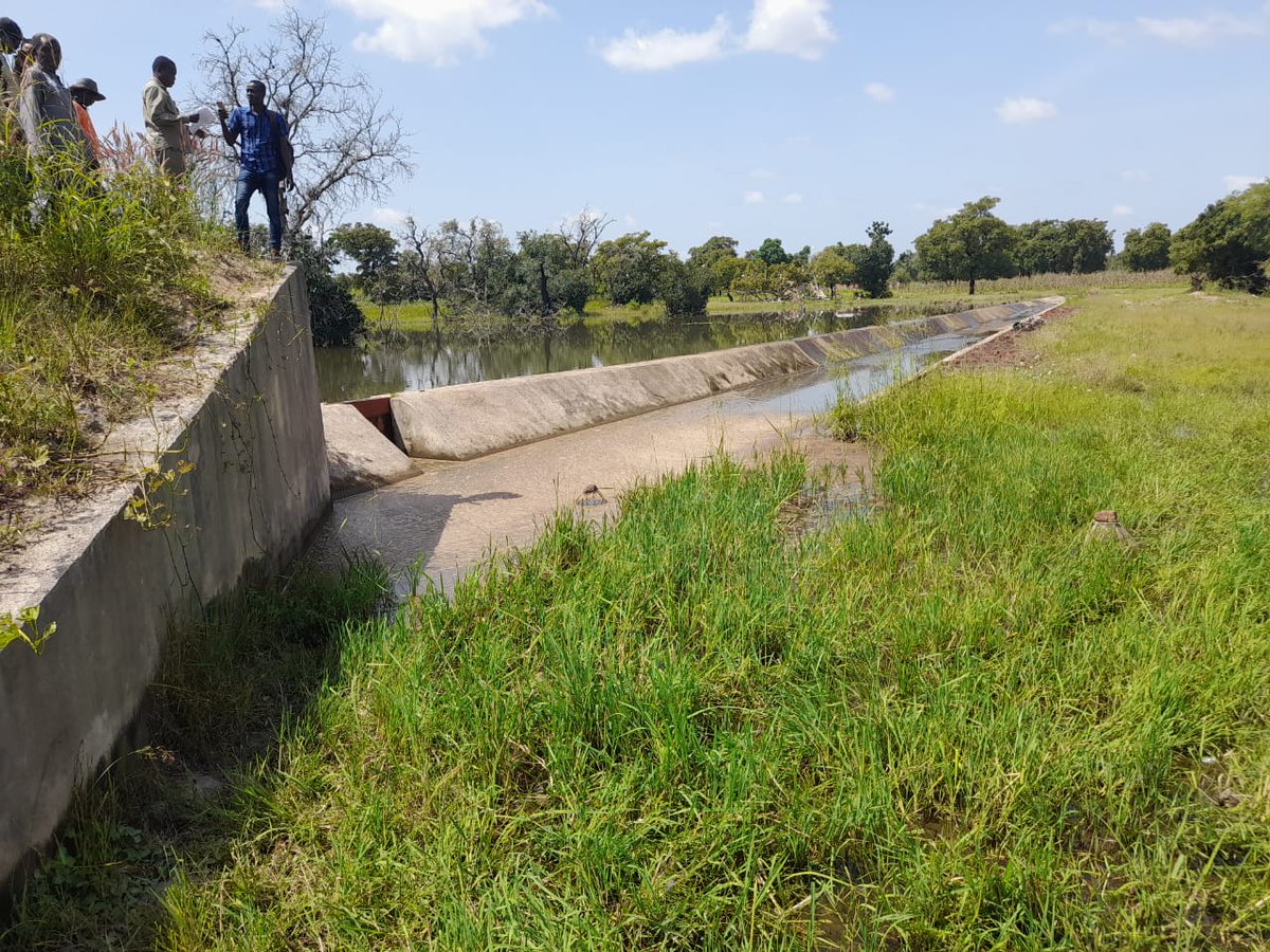Pour permettre la culture de la pomme de terre, le Conseil régional de #Sikasso 🇲🇱 a réceptionné les travaux d'amenagement du #basfond de Nianzedougou financés par la 🇨🇭 à hauteur de 75 millions CFA.➡️bit.ly/2YTRmLV 
<a href="/SwissDevCoop/">Swiss Development and Cooperation</a>