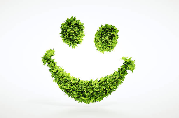 WetGrassTree's tweet image. Did you know that I can cut down a dead tree just by looking at it? It's true. I saw it with my own eyes! #treejoke