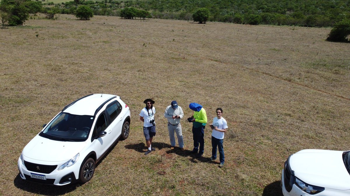 dsaezgil's tweet photo. We're about to start a new native reforestation in Brazil🇧🇷. Right now the team is doing Drone+LIDAR scanning to establish a super accurate carbon baseline.

PS, all that will be a forest again one day 🌳🙏
#RestoreNature #RemoveCarbon 🌍 https://t.co/in2lKQF4F5