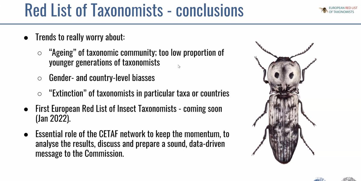 CETAF (@eurotaxonomy) on Twitter photo #live from #CETAF50: <a href="/LyuboPenev/">Lyubomir Penev</a> talks of the crucial role of <a href="/eurotaxonomy/">CETAF</a> #RedListTaxonomist in facing some worrying trends in today's #taxonomy <a href="/DiSSCoEU/">DiSSCo</a> <a href="/Bicikl_H2020/">BiCIKL_H2020</a> <a href="/SynthesysEU/">SYNTHESYS</a> <a href="/MobiliseAction/">MOBILISE</a> <a href="/GBIF/">GBIF @biodiversity.social/@gbif</a> <a href="/EU_ENV/">EU Environment</a> #live from #CETAF50: <a href="/LyuboPenev/">Lyubomir Penev</a> talks of the crucial role of <a href="/eurotaxonomy/">CETAF</a> #RedListTaxonomist in facing some worrying trends in today's #taxonomy <a href="/DiSSCoEU/">DiSSCo</a> <a href="/Bicikl_H2020/">BiCIKL_H2020</a> <a href="/SynthesysEU/">SYNTHESYS</a> <a href="/MobiliseAction/">MOBILISE</a> <a href="/GBIF/">GBIF @biodiversity.social/@gbif</a> <a href="/EU_ENV/">EU Environment</a>