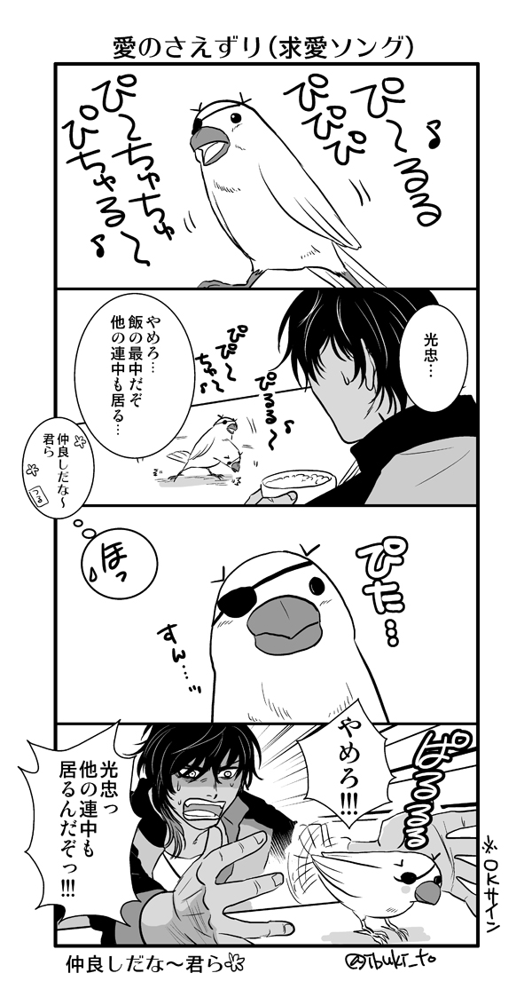 文鳥忠(●θ・)～♪ 