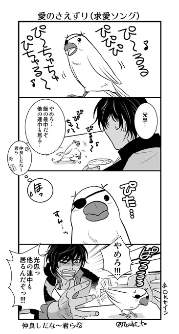 文鳥忠(●θ・)～♪ 