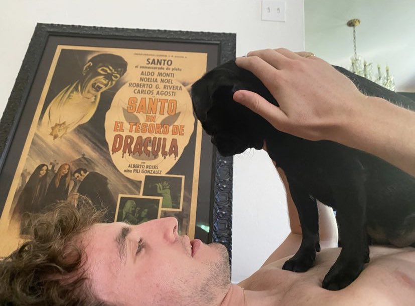 cososokatie's tweet photo. cause of death: phoebe bridgers instagram story https://t.co/kwz8fvsEfj