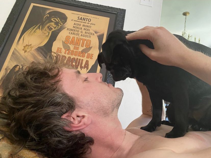 cososokatie's tweet photo. cause of death: phoebe bridgers instagram story https://t.co/kwz8fvsEfj