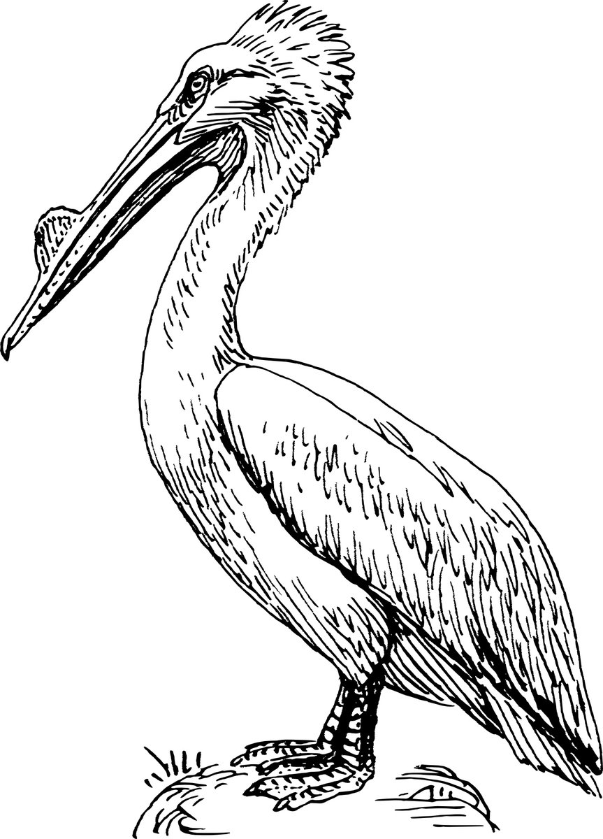 adctheatre's tweet photo. Four daughters return to their childhood home, bringing their partners, shitty Prosecco, and emotional baggage.

'The Last of the Pelican Daughters' is a comedy about family and grief.

Tue 23 – Sat 27 November at 7pm

Tickets: https://t.co/IXcyg96SLY

#pelican #corpusplayroom https://t.co/gj2q6n9ezR