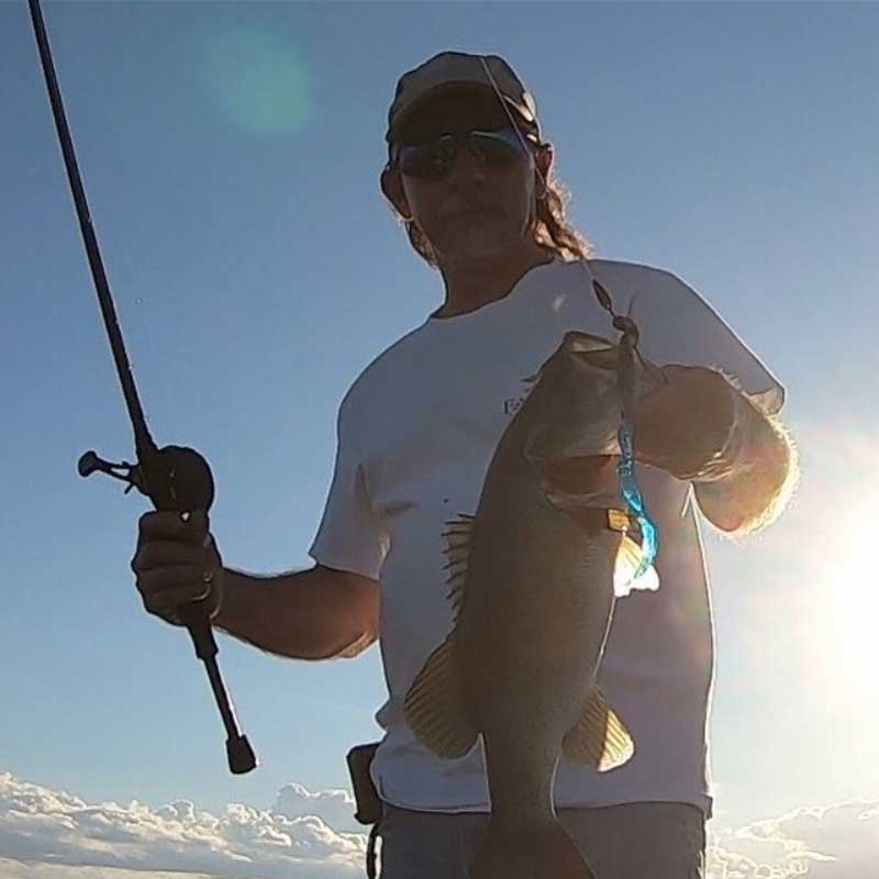 CulpritFishing's tweet photo. It is hard to beat the fish you will put in the boat fishing a worm, especially if it is a Culprit Worm. Pair this worm with a Trokar hook and a spray of Baitmate Fish Attractant and you will definitely have success.
•
#trokar #Baitmate #fishattractant #culpritworm https://t.co/peDFpbgbYL