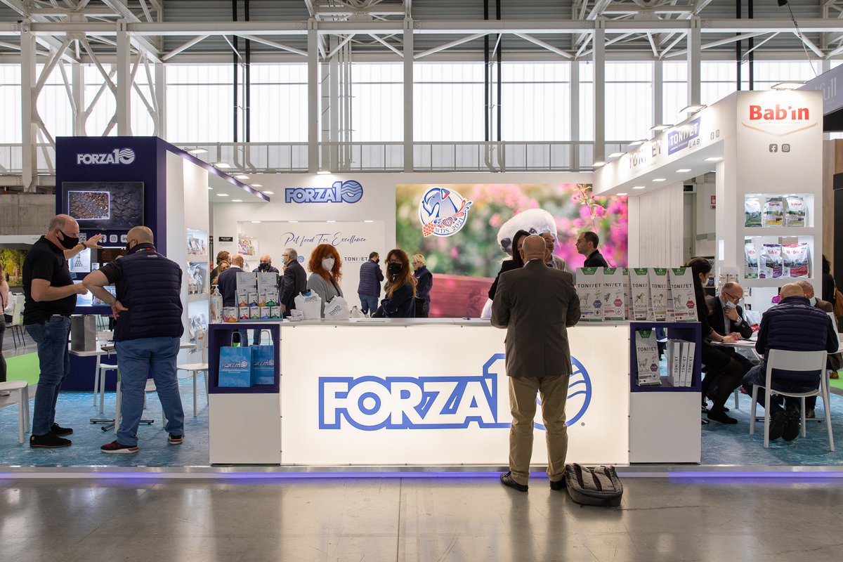 Forza10 tweet media