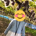 にゃんこすのツイート画像