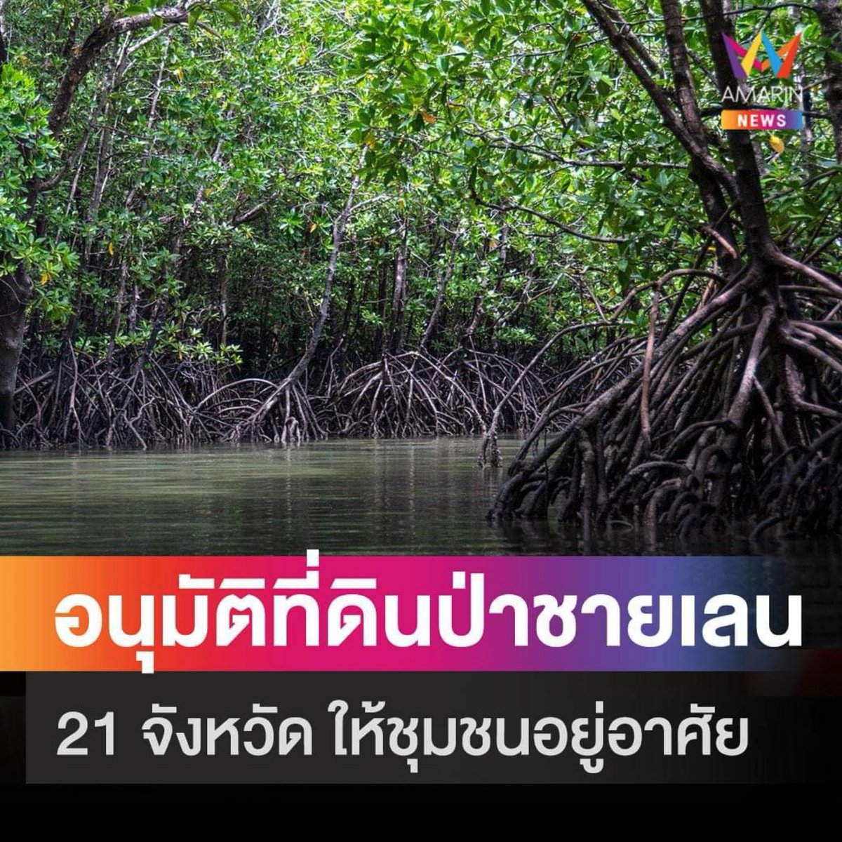 Little_XOP's tweet photo. ไม่ควรแม้แต่เสนอให้อนุมัติปะ ป่าชายเลนคือป้องกันทะเลหนุน อนุบาลสัตว์ทะเล และอื่นๆอีกเพียบ คิดอะไรอะ ???? 

ถ้า 200 ปีก่อนไม่มีความรู้จะไม่ว่าเลย นี่ปี 2021 แล้วปะ 

ดูดวงไว้เลย รีสอร์ทขึ้นเต็มแน่ๆ ไม่ได้ให้อยู่อาศัยหรอก 🤫🤫🤫 https://t.co/nyQE6s5zFZ