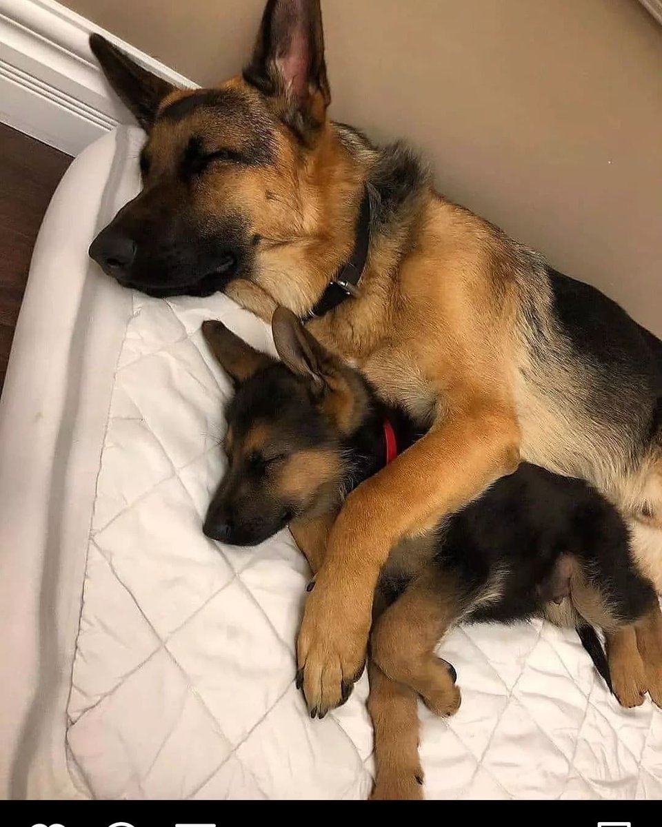 gsdduppy's tweet photo. Sweet dream https://t.co/WEOUnRyKpP
