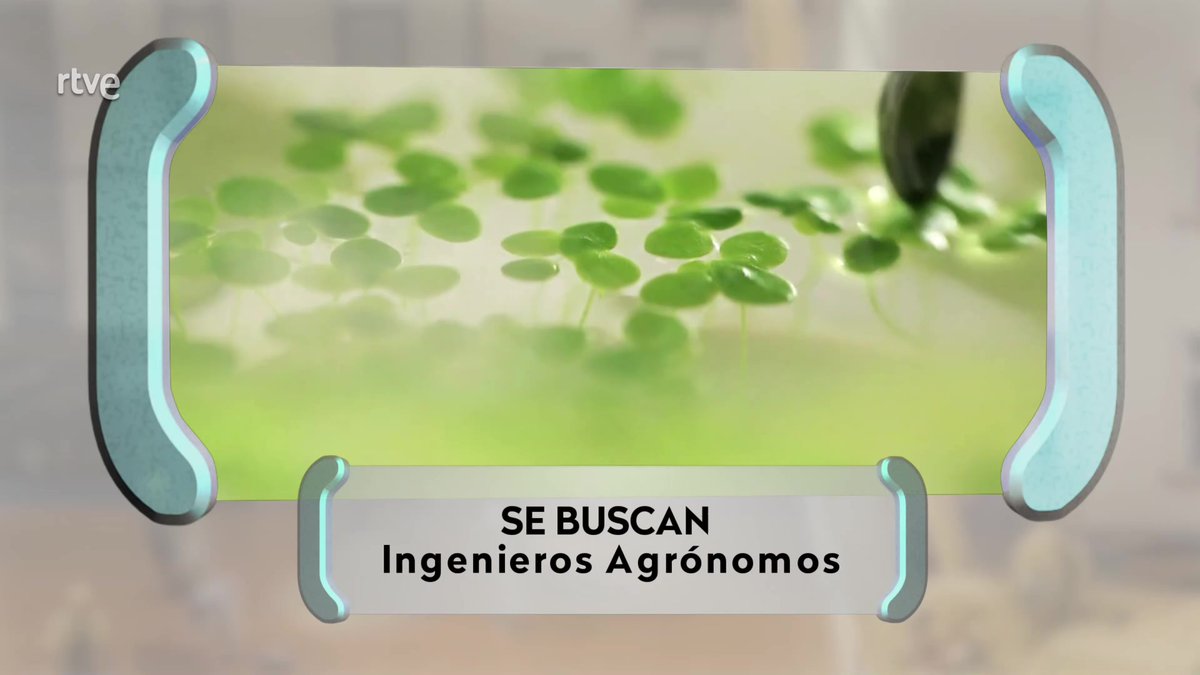 AQHT_TVE's tweet photo. 🔝Son fundamentales en muchas empresas 

⚠️Los sectores agrícola, ganadero y alimentario están preocupados

🏭Conocemos compañías que quieren y no pueden contratarles

📌Se buscan INGENIEROS AGRÓNOMOS🍀
⬇️📺
https://t.co/AjnWS9ZDW4 https://t.co/bQq0yRD6zo