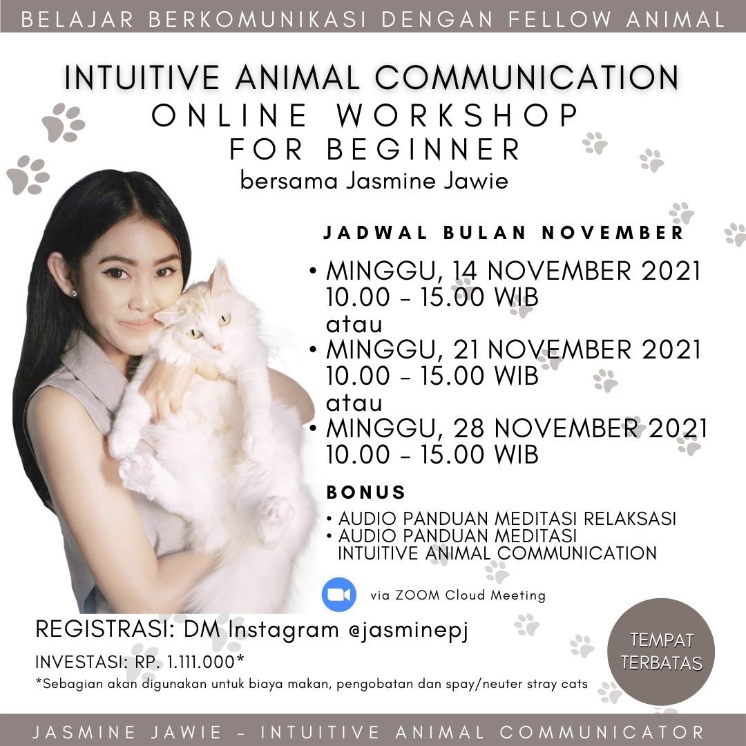 Jasmine - Intuitive Animal Communicator on Twitter: Jasmine - Intuitive Animal Communicator on Twitter: