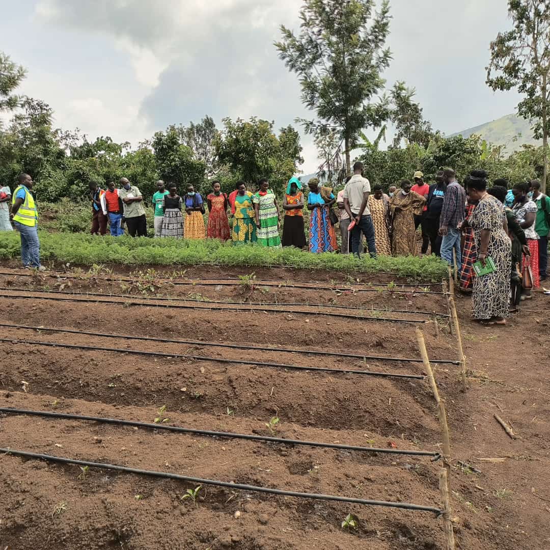 africa_prosper's tweet photo. Join us appreciate @narouganda  who have generously donated operational field guides &amp; chicken rearing manuals to all the farmer groups at our 9 demonstration garden site.

They went ahead to train, inspire &amp; practically show the farmers how well they can improve their farming. https://t.co/r1glAZh7Gp