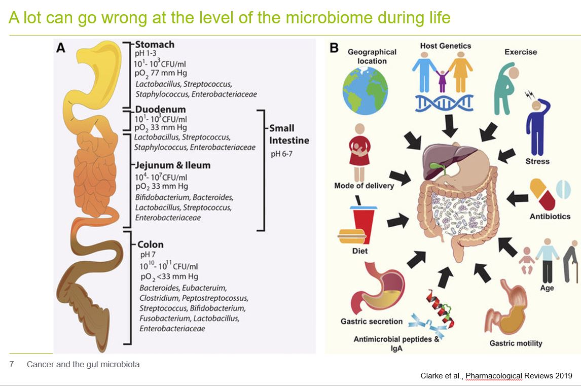 Especialista en microbiota intestinal barcelona