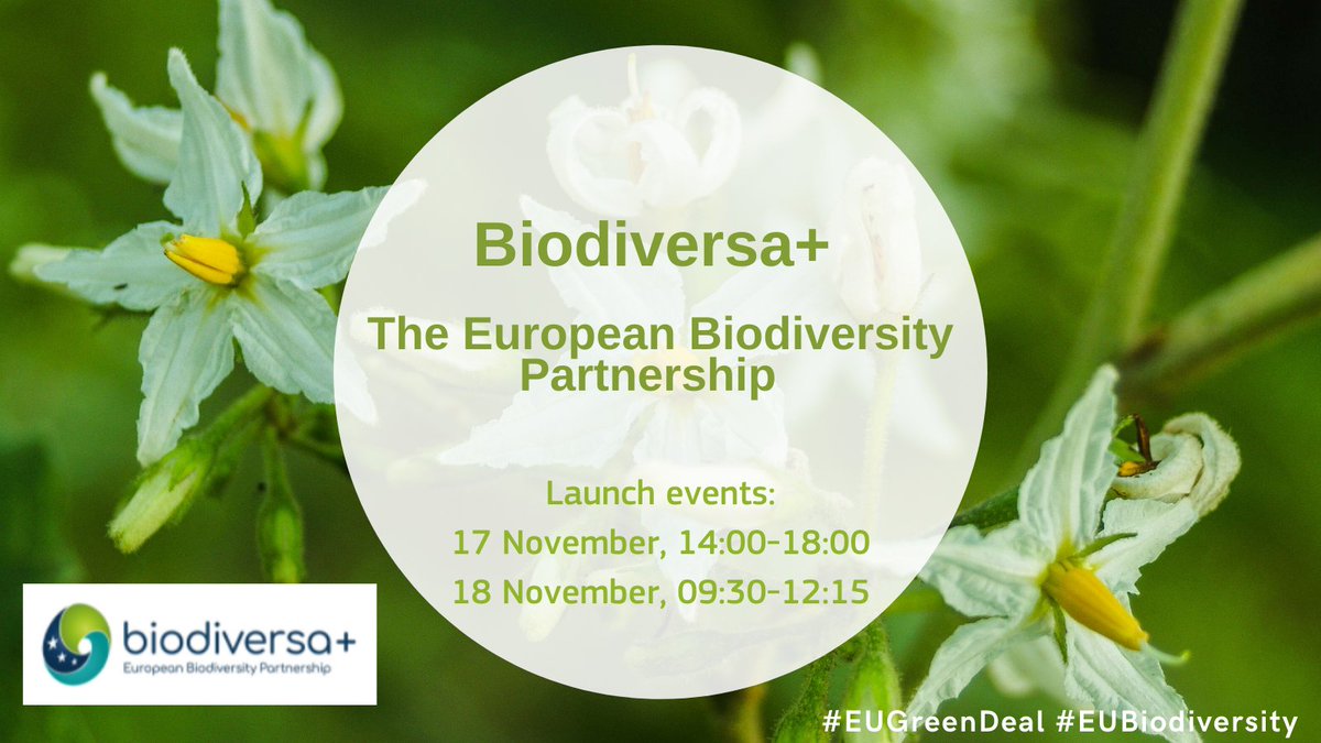 EU green research (@eugreenresearch) on Twitter photo Protect #biodiversity 🪲
Save nature🌱
Reverse degradation of #ecosystems🌷
Today, <a href="/BiodivERsA3/">BiodivERsA3</a> starts a journey of 7 years & 5 goals to try to build the bridge between science, policy & practice to fight the #BiodiversityCrisis
Want to get involved?➡️bit.ly/3qK93cq Protect #biodiversity 🪲
Save nature🌱
Reverse degradation of #ecosystems🌷
Today, <a href="/BiodivERsA3/">BiodivERsA3</a> starts a journey of 7 years & 5 goals to try to build the bridge between science, policy & practice to fight the #BiodiversityCrisis
Want to get involved?➡️bit.ly/3qK93cq