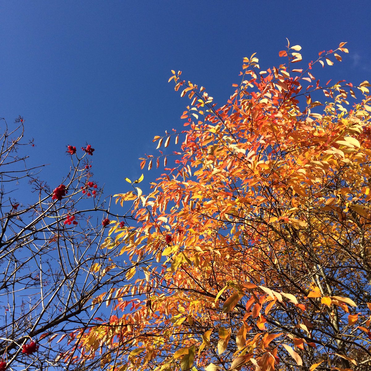 InspiredByKate's tweet photo. Perfect office ceiling today. https://t.co/JCWaYs6bk1