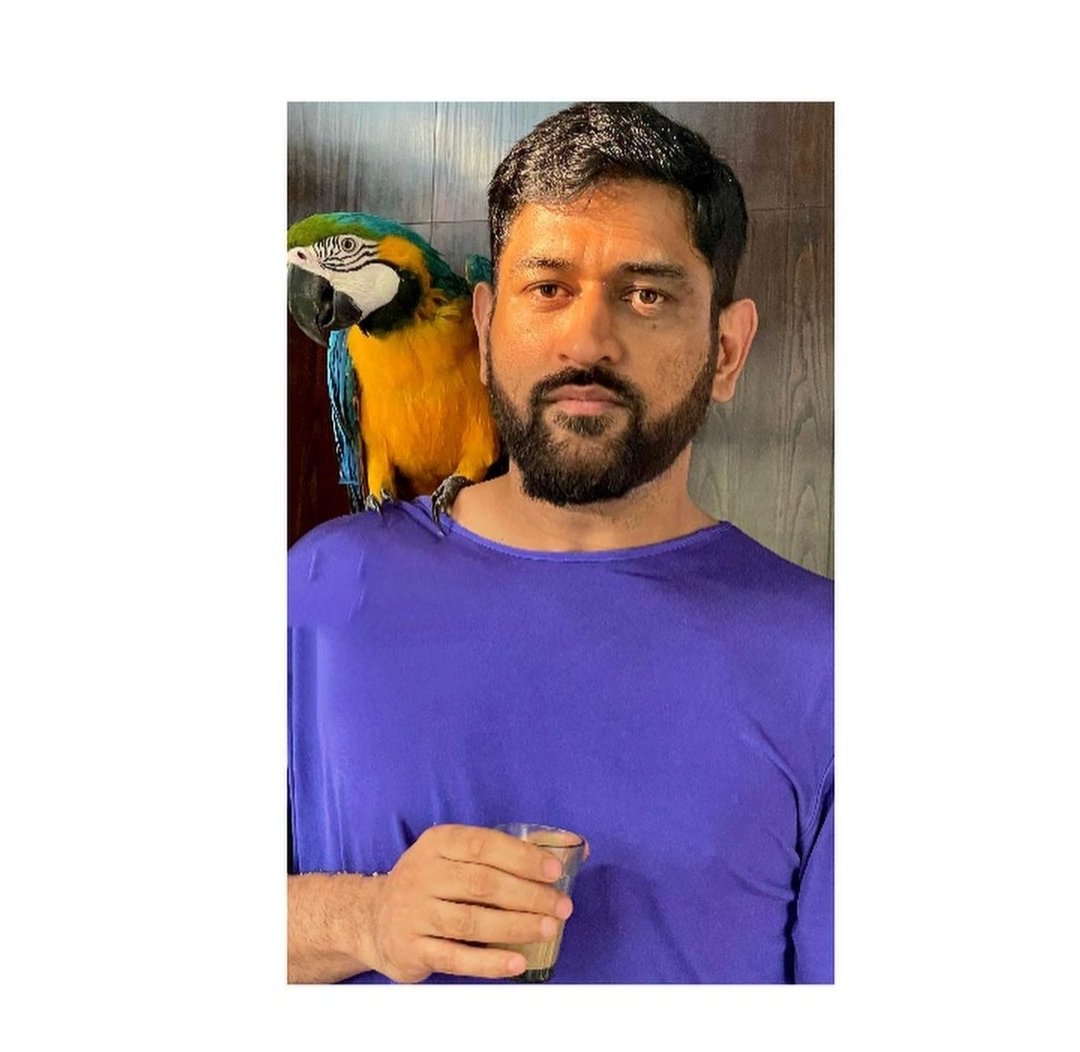 Latest pic of <a href="/MSDhoni/">Mahendra Singh Dhoni</a>
#MSDhoni