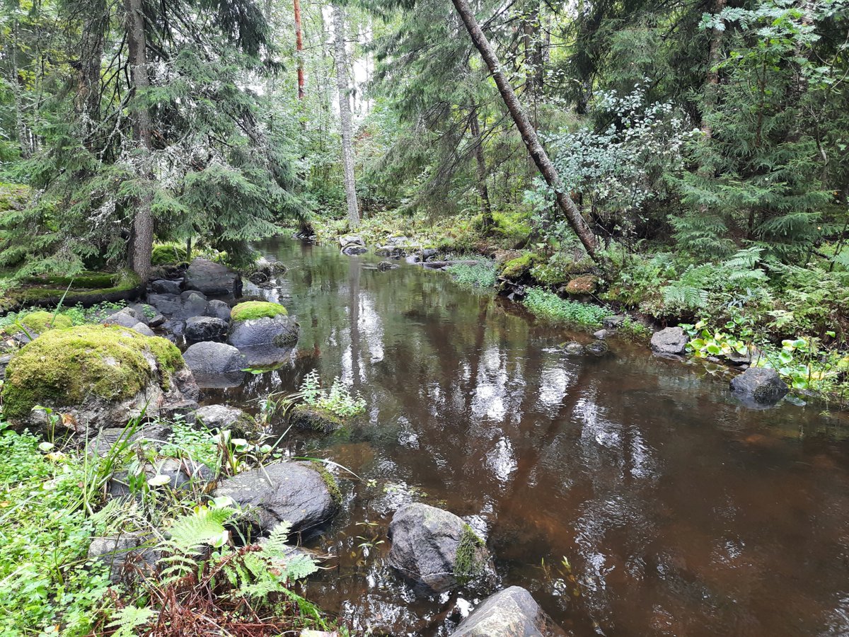 Todella hienoa edelläkävijyyttä Lahden kaupungilta!Lahti pilotoi ekologista kompensaatiota ensimmäisenä kaupunkina Suomessa. Mukana hankkeessa myös <a href="/SYKEinfo/">Suomen ympäristökeskus</a> <a href="/helsinkiuni/">University of Helsinki</a> <a href="/AgriForHelsinki/">Faculty of Agriculture and Forestry</a>  #biodiversiteetti #ekologinenkompensaatio #EKOTEKO
lahti.fi/uutiset/ympari…
