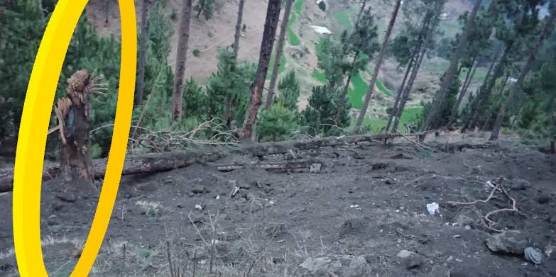 javerias's tweet photo. All local media including international visited balakot on same day and we all have seen this only. No training camp was targeted only few trees were damaged in payload strike. Share some pics or videos evidence if u have?
History was written on 27 Feb 2019 😁 https://t.co/fViVLVd3ri