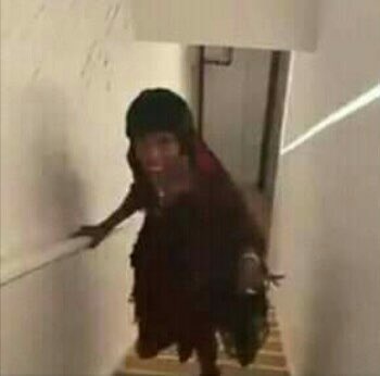 sussooss's tweet photo. yo yendo a abrazar a mi perro cada 5 minutos https://t.co/rOh2zEc6O9