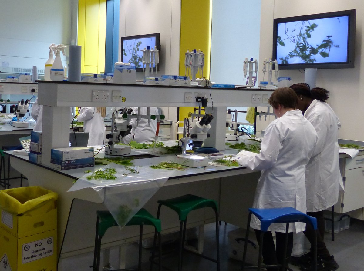 readingbotany's tweet photo. Great session introducing the first page of the awesome #vegkey to @UniofReading @ReadingBioSci #MScSISS students in the lab! @BSBIbotany @FSCPublications https://t.co/x9fWfRd4wk