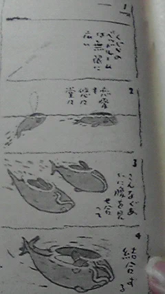 崑せんせいの『くじら天国』1話ぶんだけ確保した 