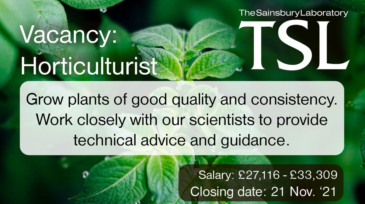 Four days left to apply! We seek a Horticulturist to ensure an effective and efficient operational delivery of horticultural services. 
Norwich, UK - Apply by 21 Nov ➡️ tsl.ac.uk/opportunities/…