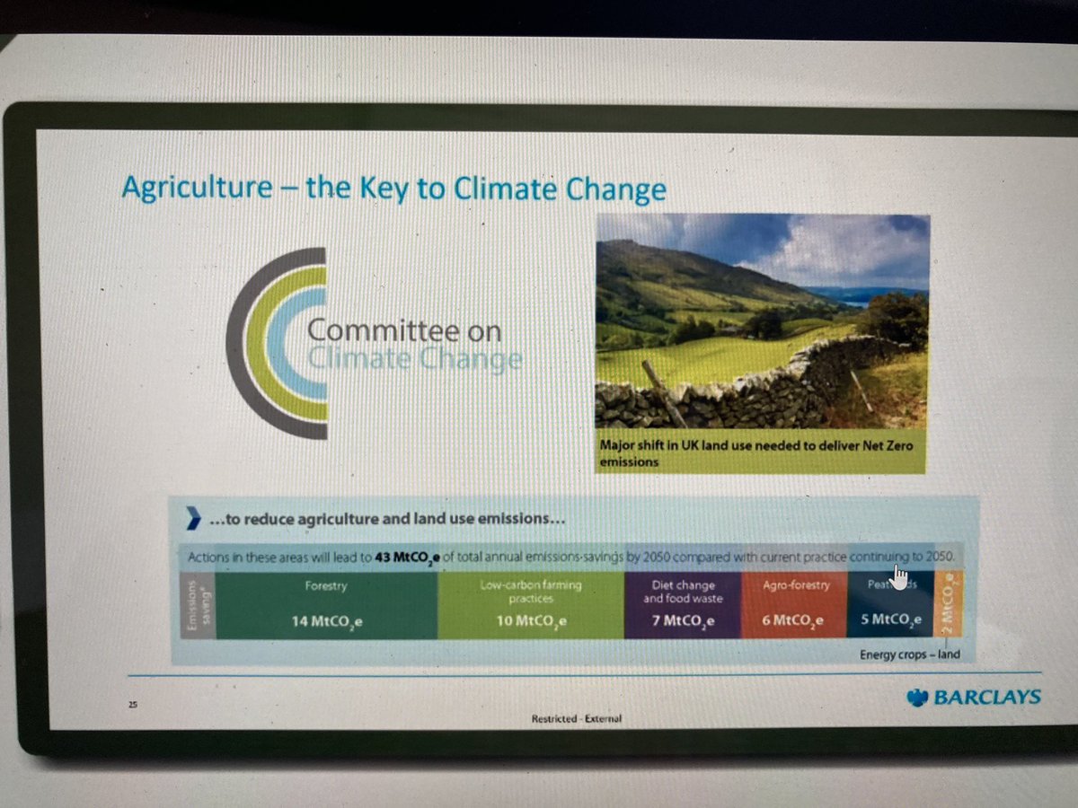 angus Chalmers tweet media